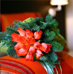 Ochre and Brown Hotel Athens Greece