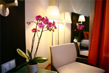 Ochre and Brown Hotel Athens Greece