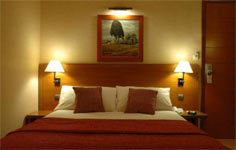 President Hotel Athens Greece