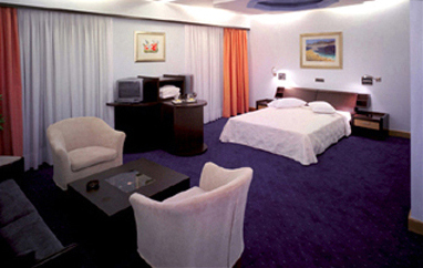 Centrotel Hotel Athens Greece