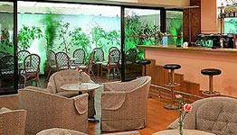 Ionis Hotel Athens Greece