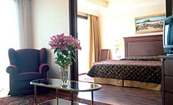 Electra Palace Hotel Athens Greece